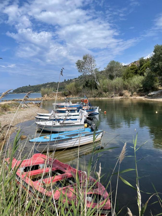 アギア・パラスカヴィZoel'S House In Chalkidikiアパートメント エクステリア 写真