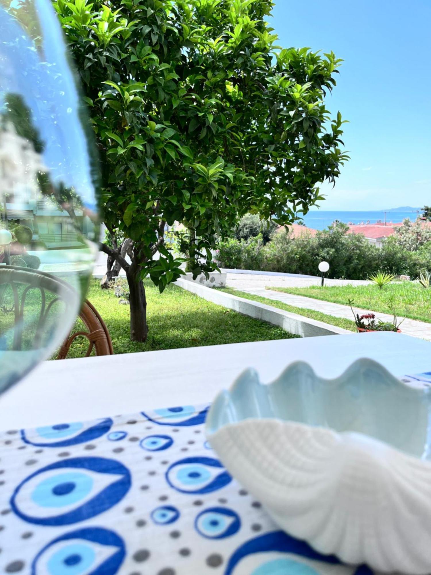 アギア・パラスカヴィZoel'S House In Chalkidikiアパートメント エクステリア 写真