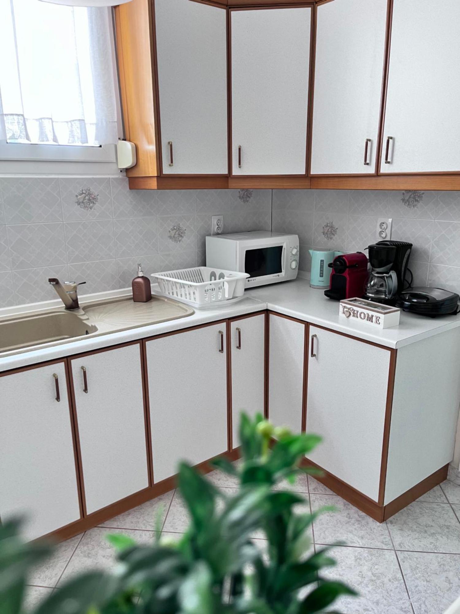 アギア・パラスカヴィZoel'S House In Chalkidikiアパートメント エクステリア 写真